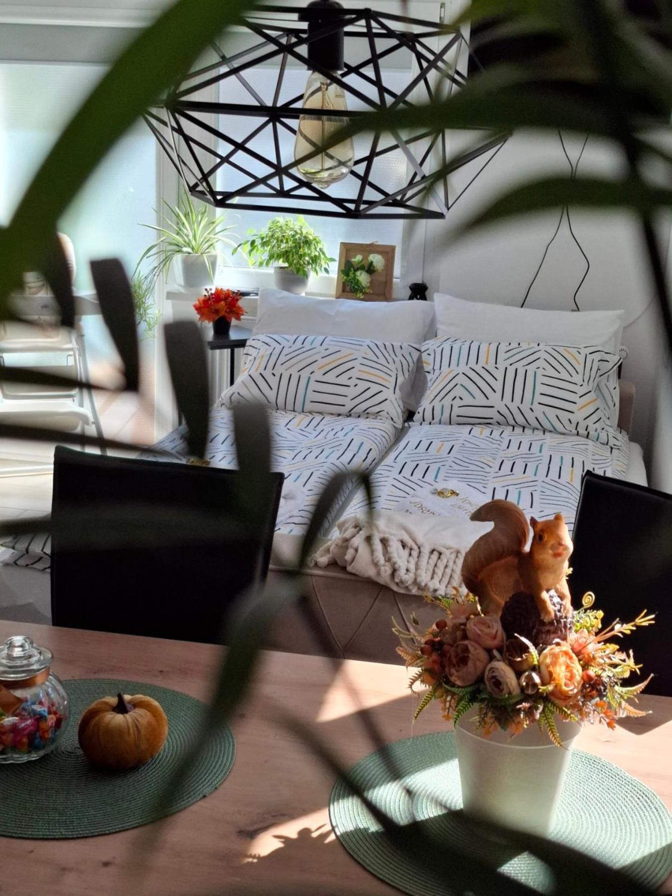 Josephine Apartment Σουμπότικα Εξωτερικό φωτογραφία